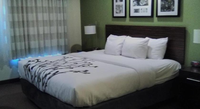 Image of 1 Queen Bed Nonsmoking 1