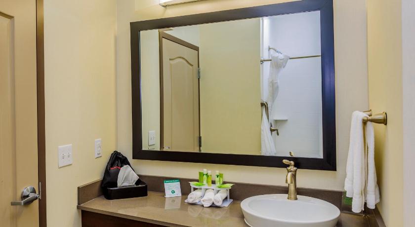 Holiday Inn Express & Suites Cheektowaga North East