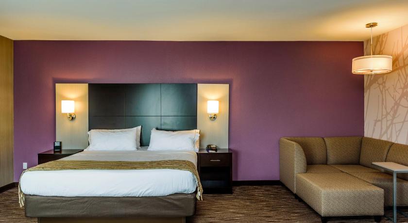 Holiday Inn Express & Suites Cheektowaga North East