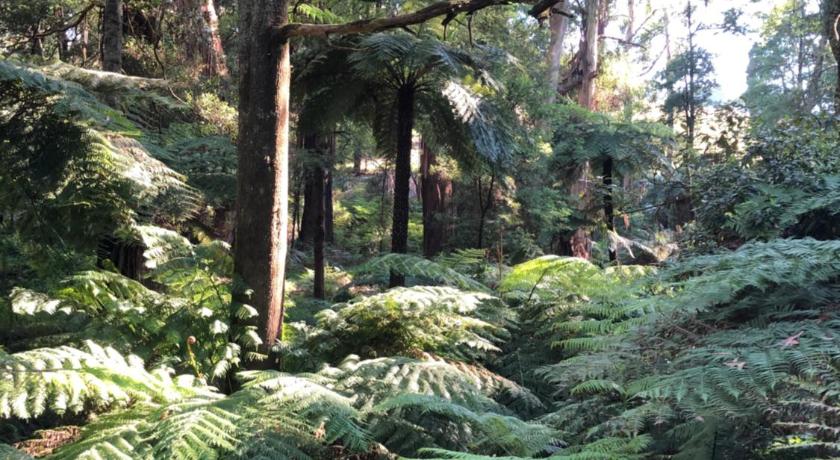 Emerald Creek Cottages photo