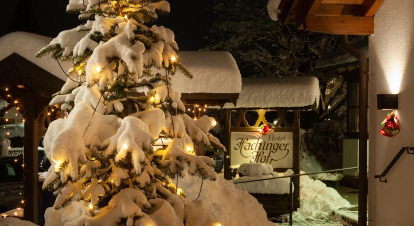 Hotel Hachinger Hof photo