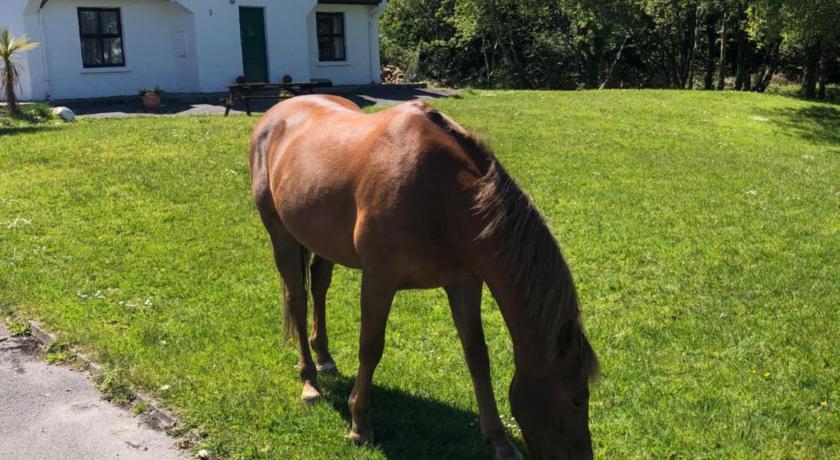 马库姆 House with sea views close to Beach with WiFi and large kitchen and dining 5星级 单人房 泳池