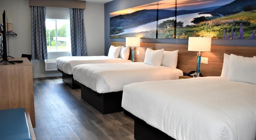 Image of 3 Queen Beds, Non-Smoking 5