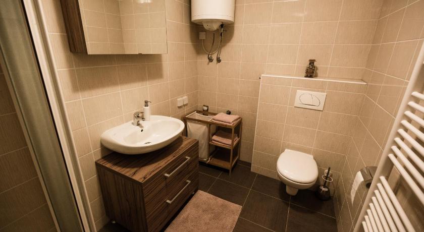 APARTMENT ALPIN BOVEC photo