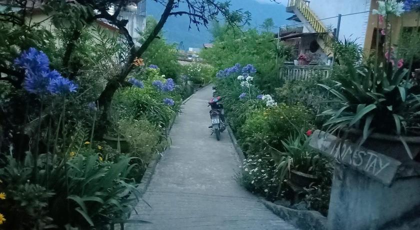 a street filled with lots of plants and bushes, Sapa Tatu Homestay in Sapa