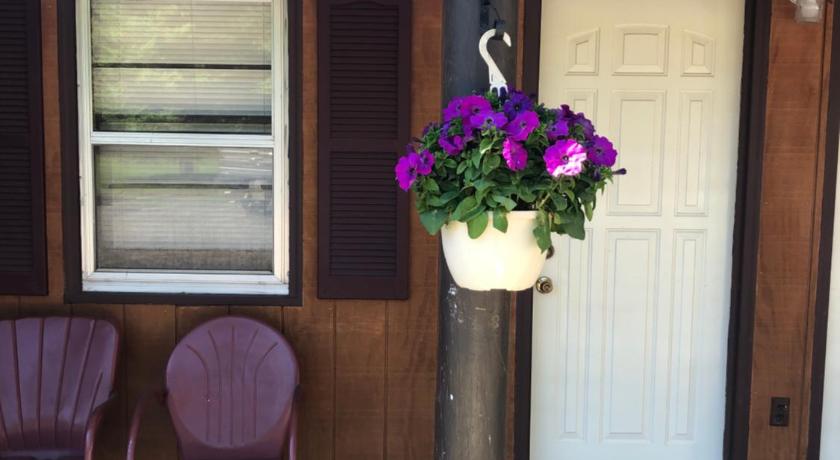 Spring Creek Inn photo