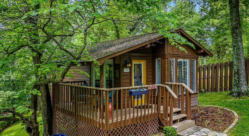 The Woods Cabins photo