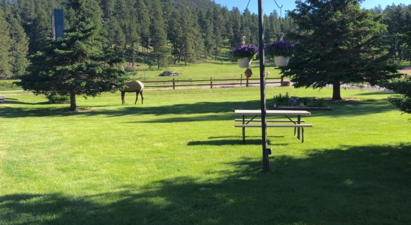 Spring Creek Inn photo