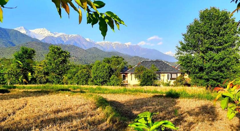 Hotel Seclude Palampur