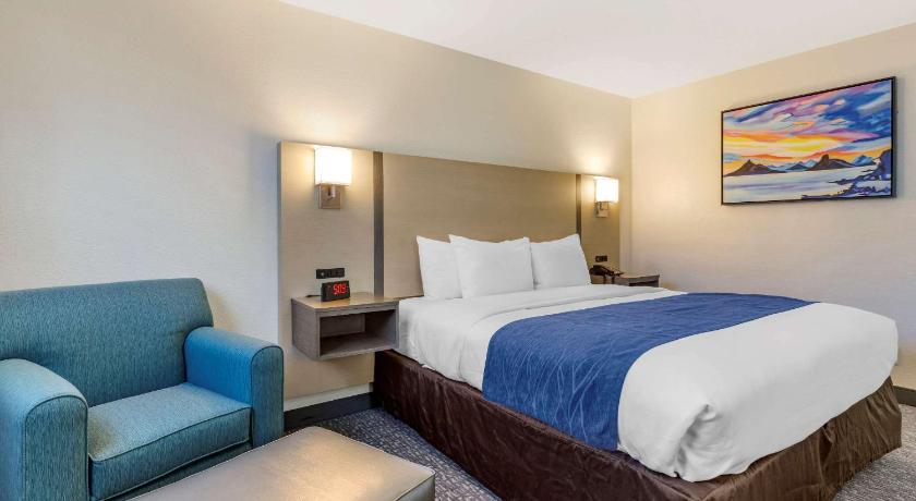 Image of 1 King Bed, Nonsmoking 3