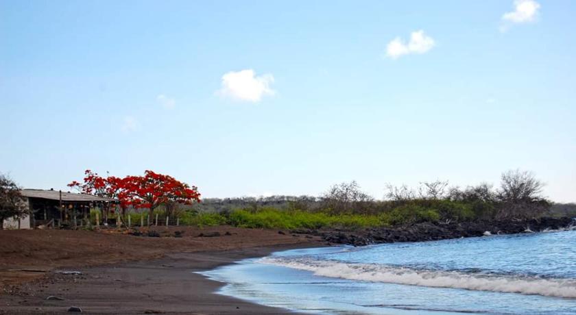 Black Beach House photo