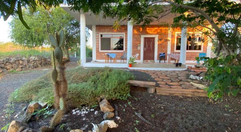 Black Beach House photo