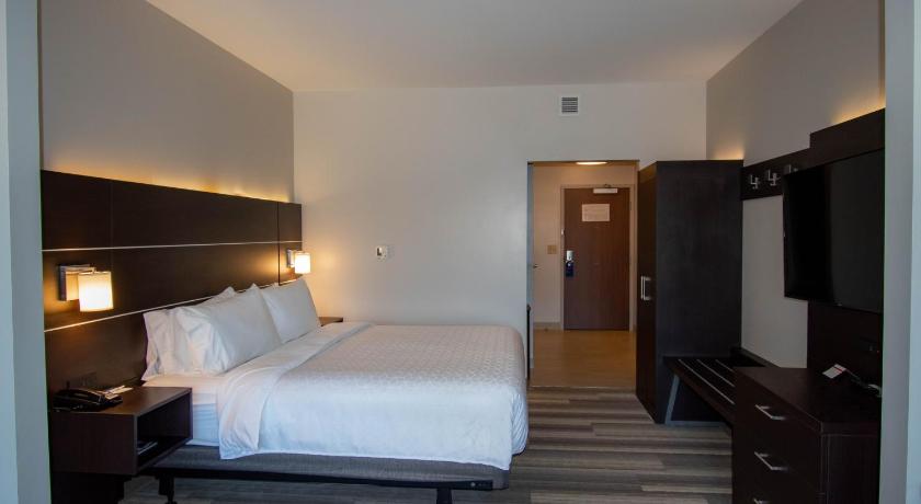 Holiday Inn Express and Suites Tonawanda Buffalo Area