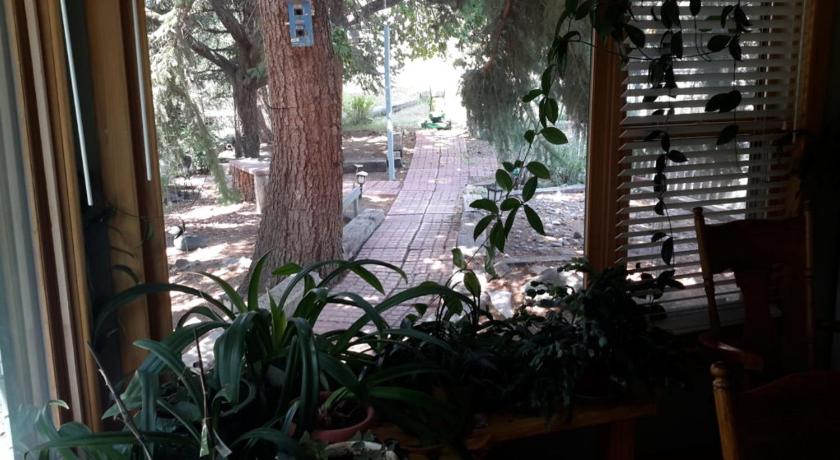a patio area with a tree and some plants, Creek Side Bed and Breakfast in Cedaredge (CO)