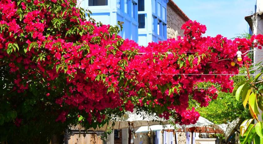 Rue d'Azur Alacatı