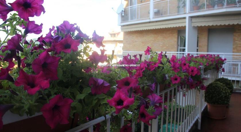 B&B Paradisett photo