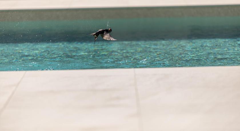 Sea Star Villa - Vinjerac photo