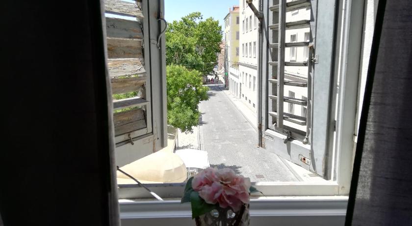 Optimist split/city center photo
