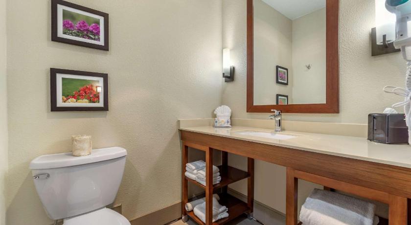 Comfort Inn & Suites Lakewood by JBLM