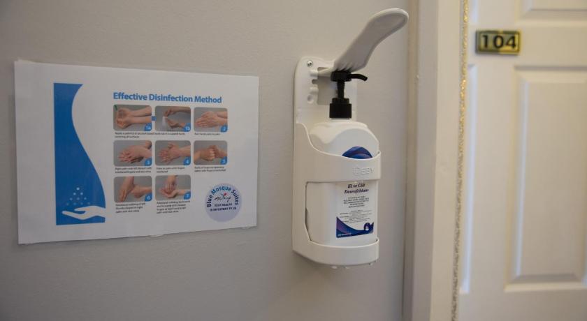 Blue Mosque Suites - image 12