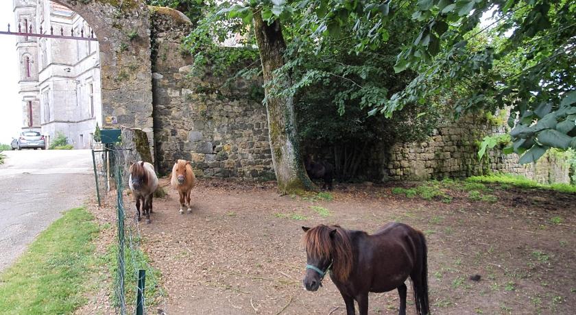 Chateau Moncassin photo