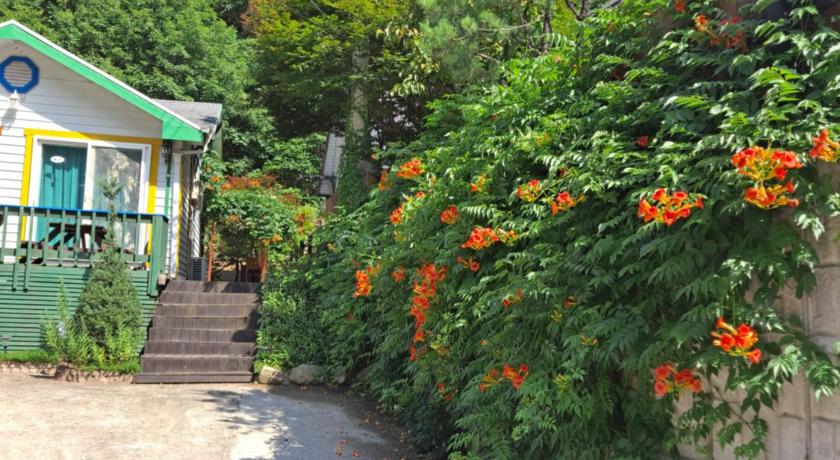 Charm Pension photo