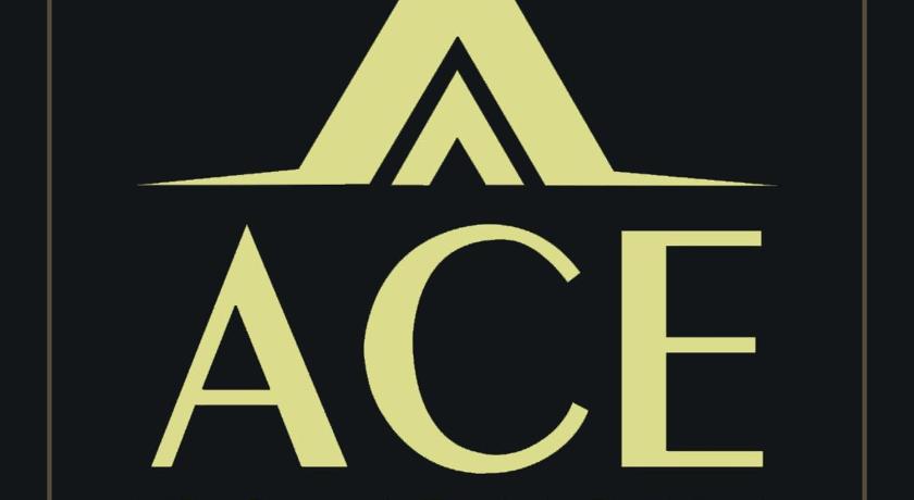 Ace Iconic - image 40