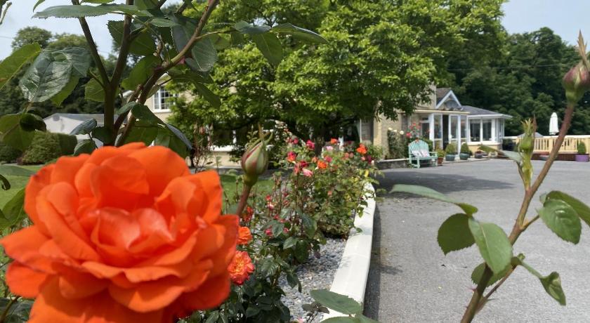 copperfield house — Hotel in Cratloe