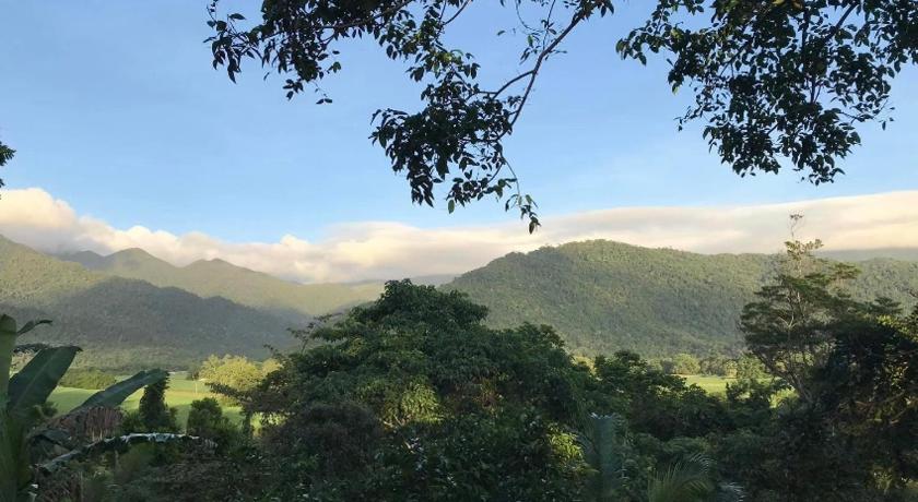 Mossman Gorge Bed and Breakfast photo