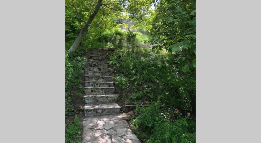 Stari Slankamen Villa Kornelija 4-Star Single Room restaurant