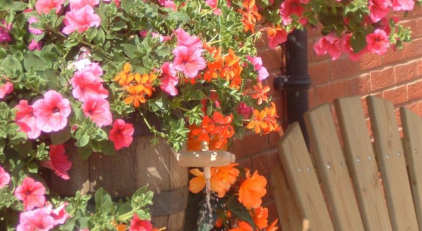 The Walnut Tree Inn photo