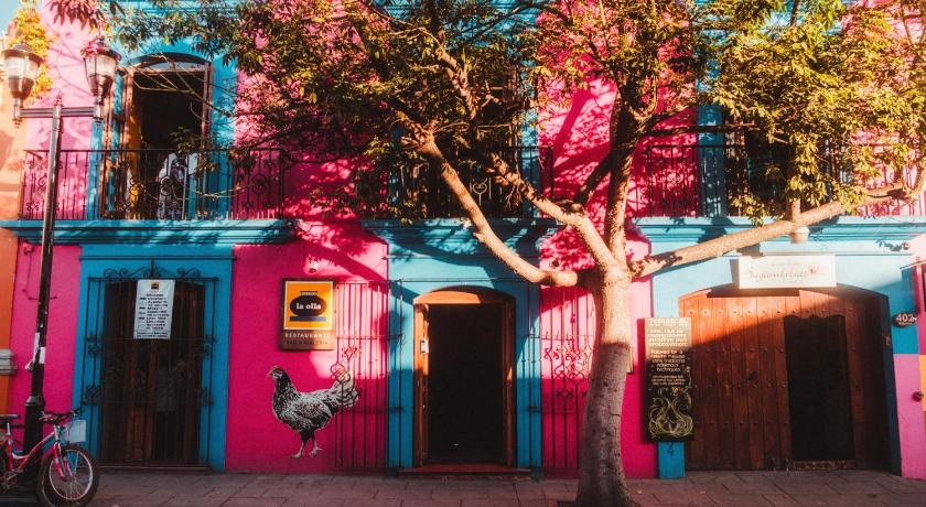 bright pink exterior at Casa de las Bugambilias Oaxaca B&B | Best Places to Stay in Oaxaca City