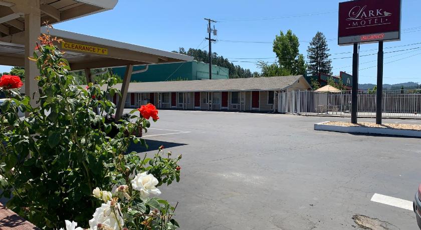 Lark Motel Willits