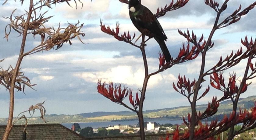 KARANDA BnB photo