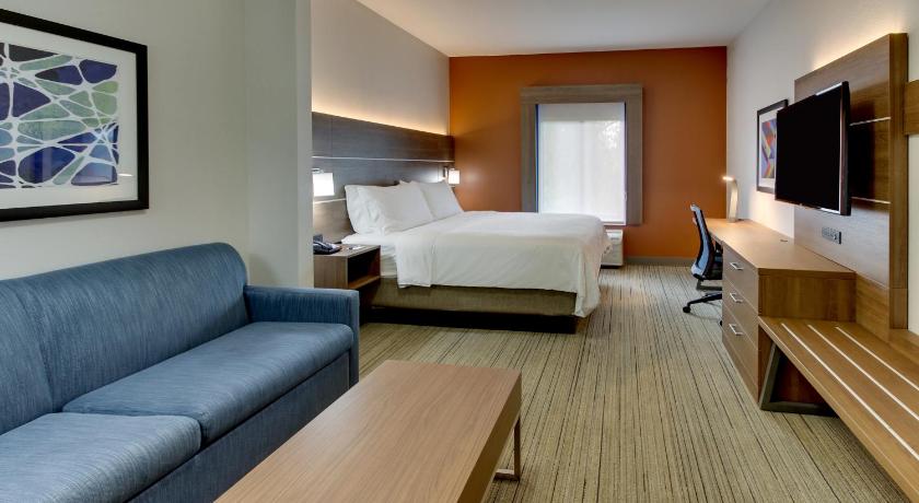Holiday Inn Express Hotel & Suites - Atlanta/Emory University Area photo