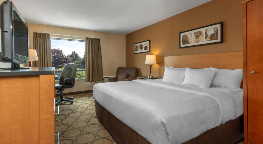 Comfort Inn photo
