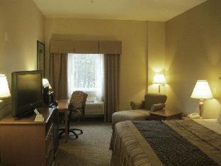 Image of Accessible - Suite 1 King Bed, Mobility Accessible, Roll In Shower, Sofa, Non-smoking, Full Breakfas 7