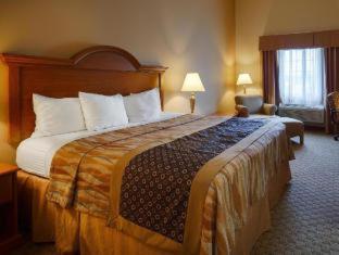 Image of Accessible - Suite 1 King Bed, Mobility Accessible, Roll In Shower, Sofa, Non-smoking, Full Breakfas 4