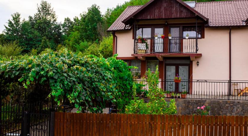 Casa NITU