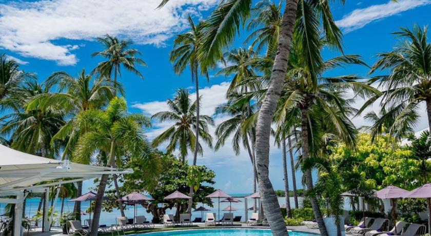 La Vida Samui - image 15