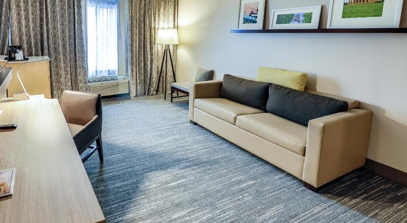 Lakosztály 1 king-méretű ággyal, nemdohányzó, akadálymentesített (1 King Bed, Suite, Nonsmoking, Accessible) fotója 9