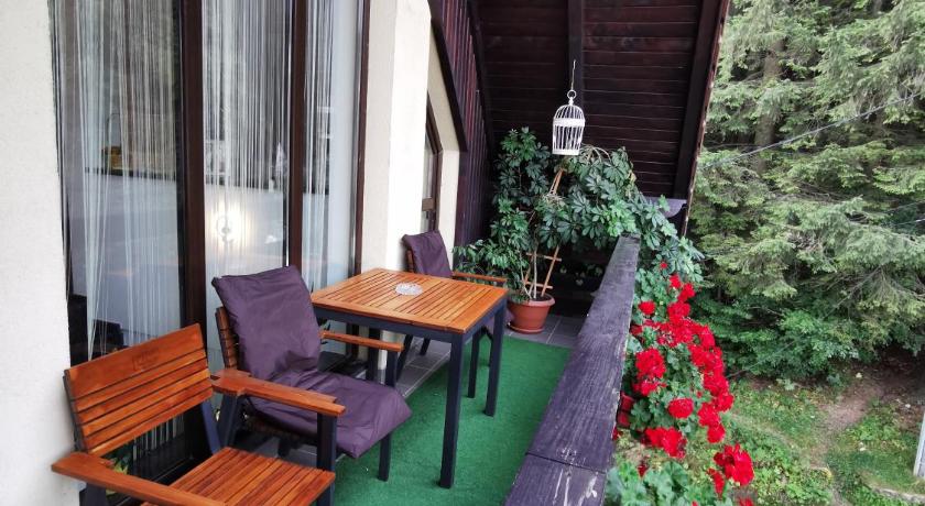 Apartament Kalinderu K1 Busteni photo
