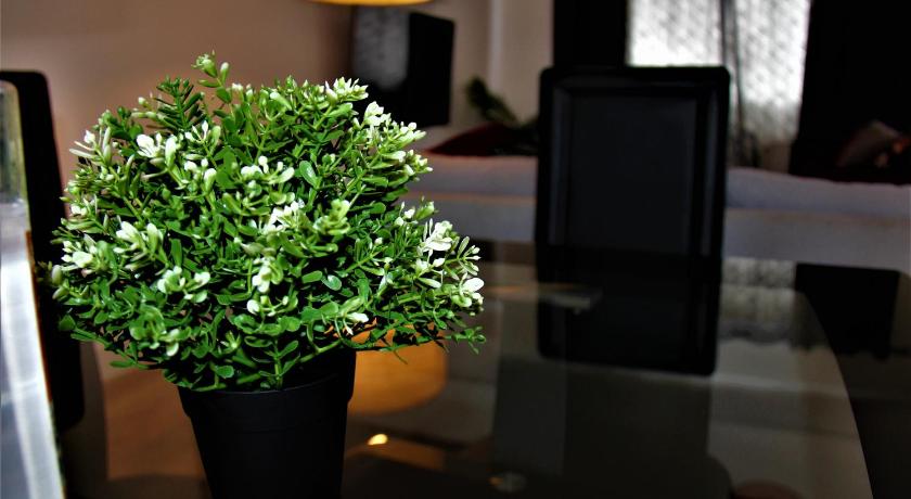 Roomstayer - image 9