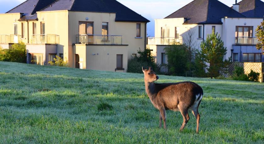 Waterford Castle Hotel & Golf Resort