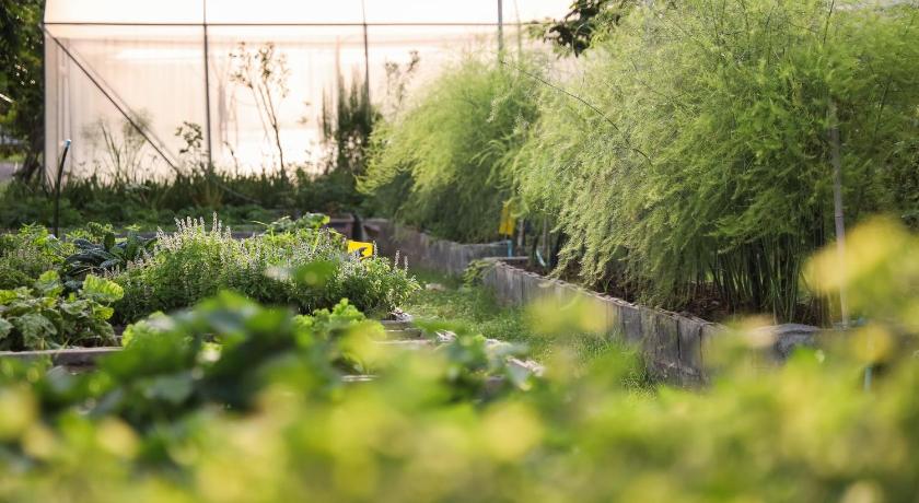 Green Me Organic Farm Stay Khao Yai - image 26