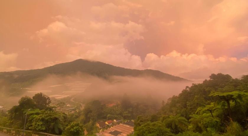 CAMERON HIGHLAND COZY HOMESTAY - image 8