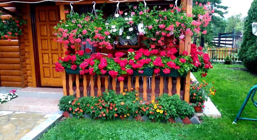 Vacation Home Vila Mali Raj photo