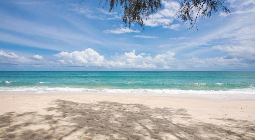 a beach with palm trees and a blue sky, Luxury Oceanfront_pool access apartment in Phuket