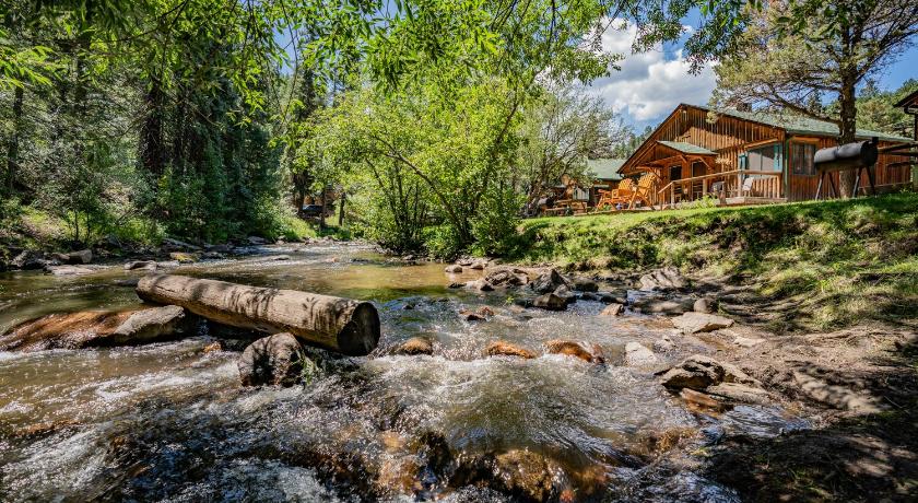 a river filled with trees and shrubbery next to a bridge, Colorado Bear Creek Cabins in Evergreen (CO)