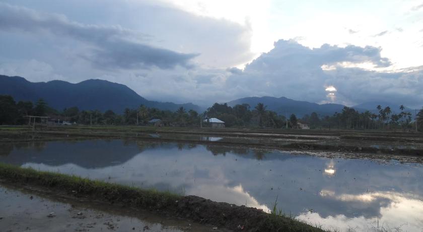 Landbow Green Village Homestay — Hotel in Sampe Raya